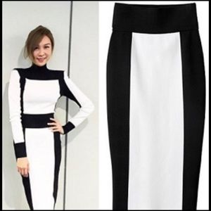 NWT Balmain by H&M Black and White Skirt